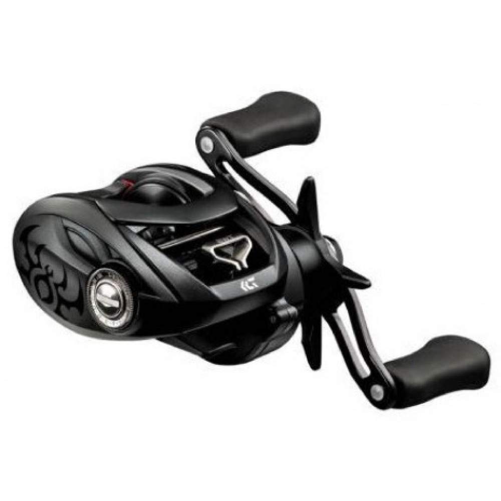 Amazon | ダイワ(DAIWA) ベイトキャスティングリール Tatula 100 ギア
